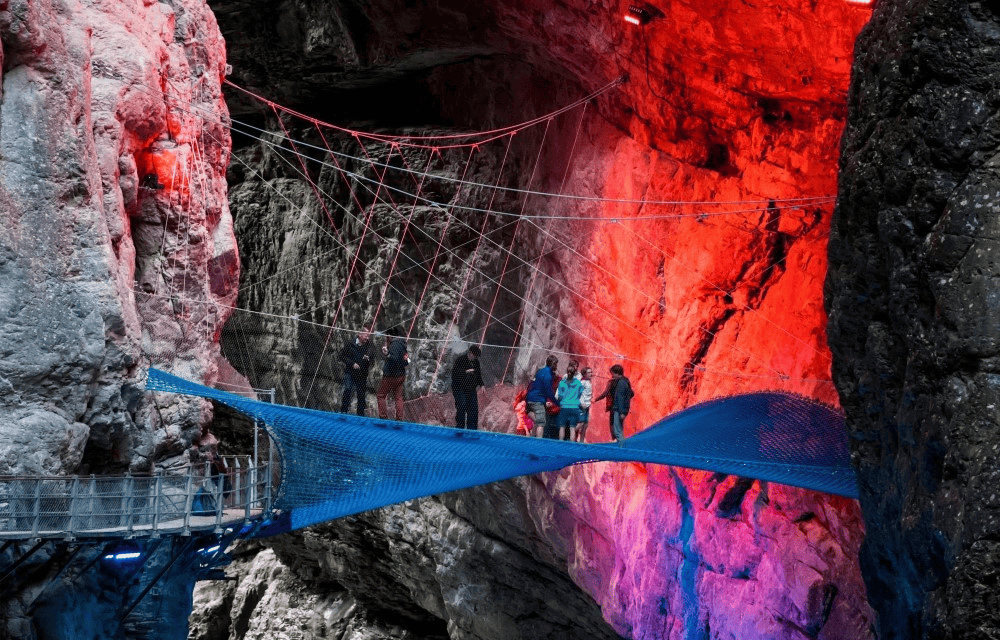 Compare prices of - online