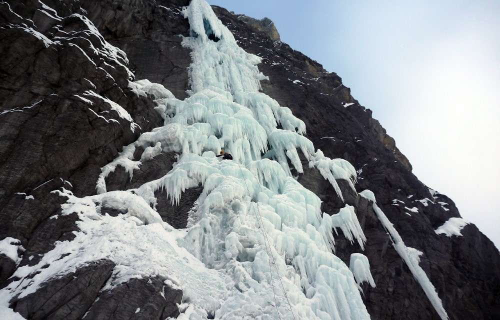 Secure your reservation at - near Alps CH, Tuftbach, 3818 Grindelwald, Switzerland